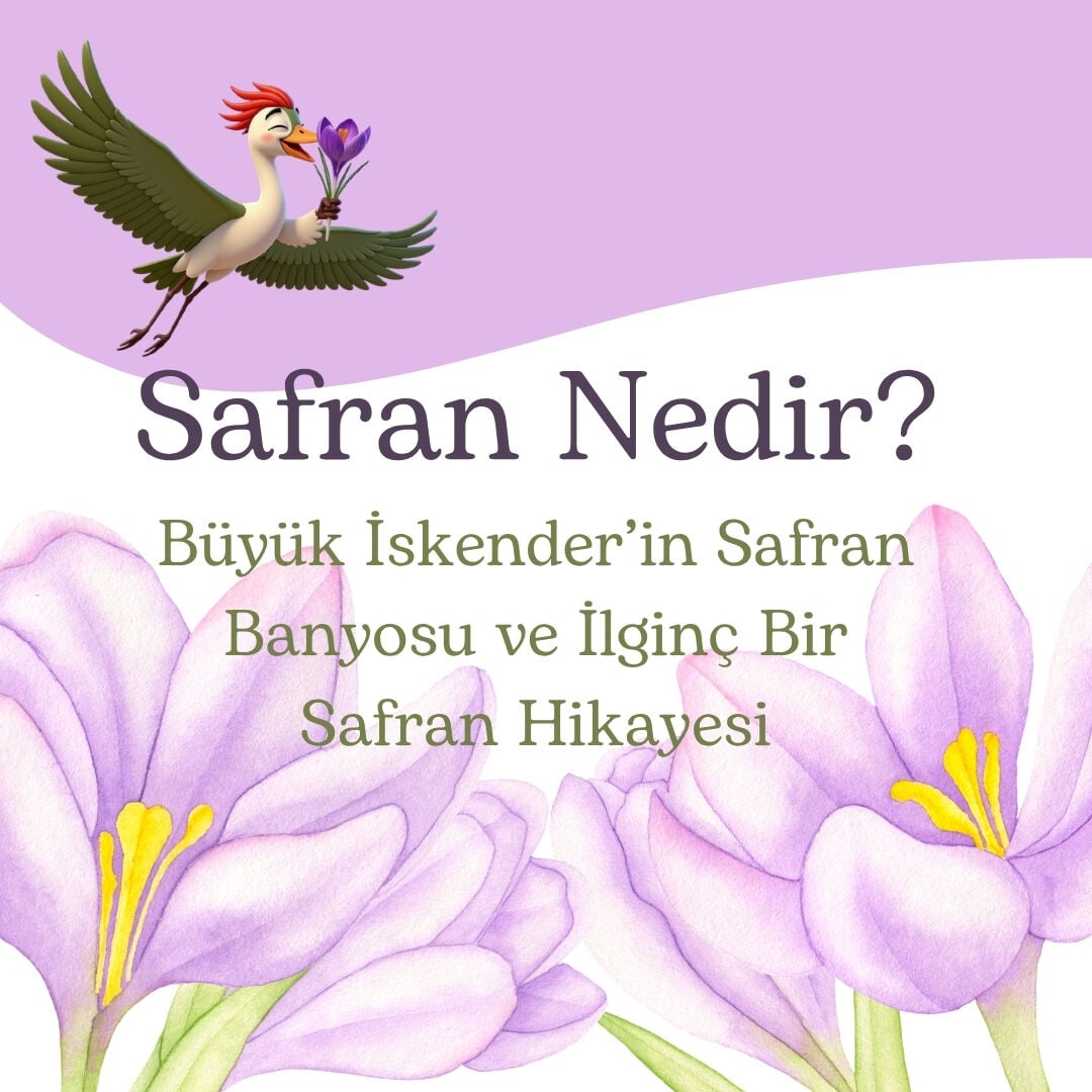 Büyük İskender’in Altın Banyosu: İlginç Bir Safran Hikayesi