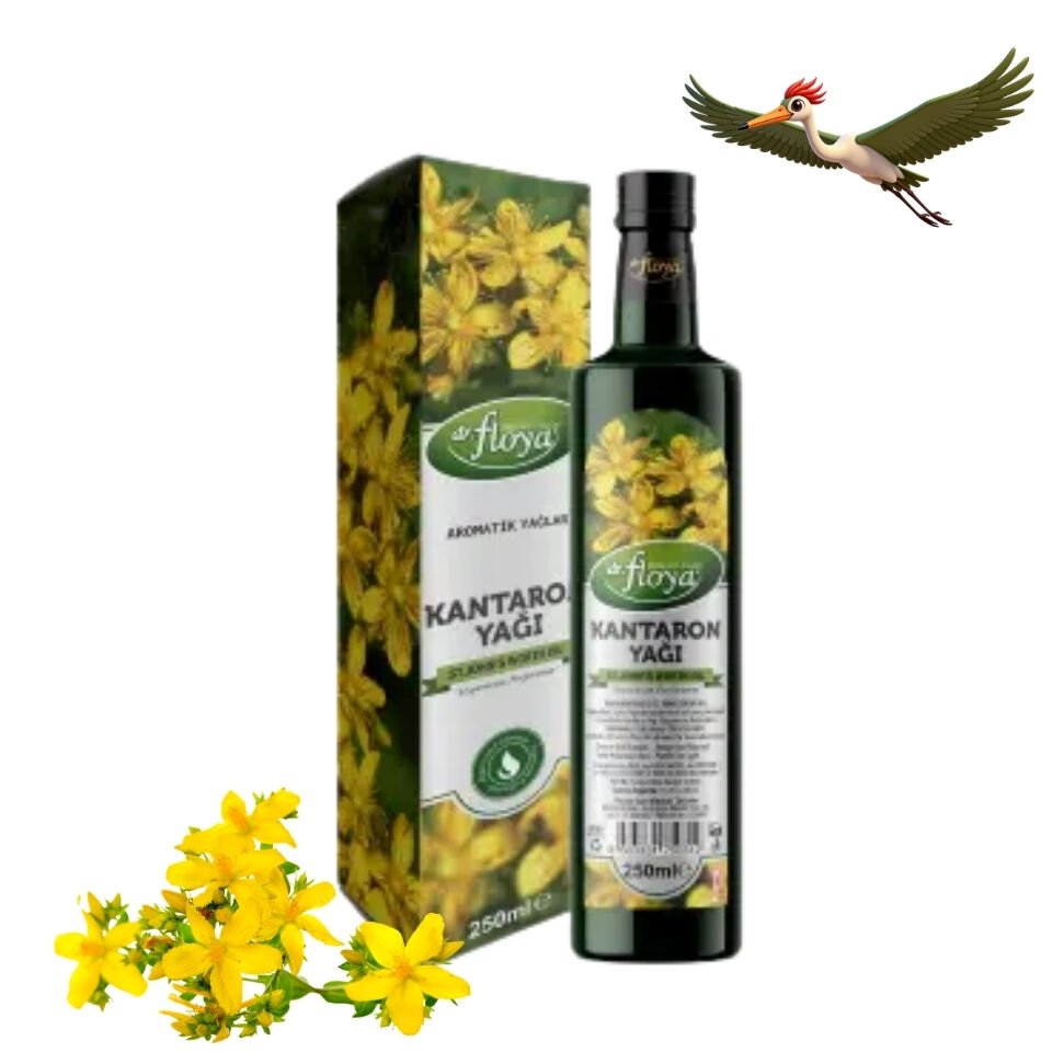 Kantaron Yağı - 50 ml.