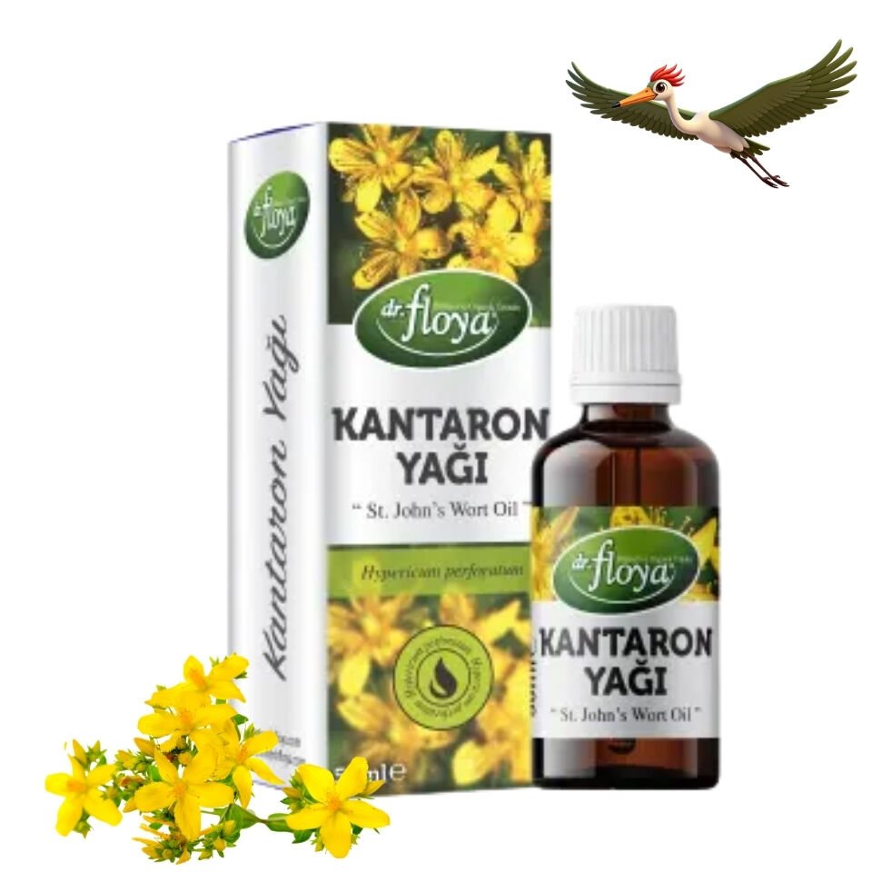 Kantaron Yağı - 50 ml.