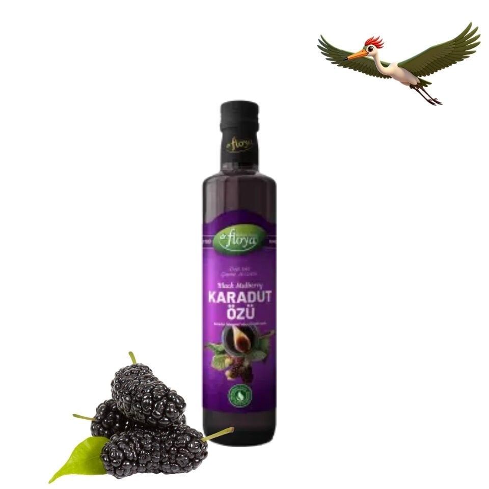 Dr. Floya Karadut Özü - 700 Gr.
