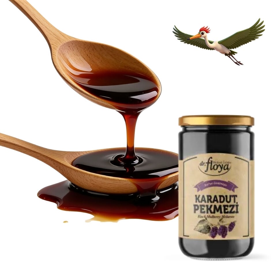 Dr. Floya Karadut Pekmezi - 800 Gr.