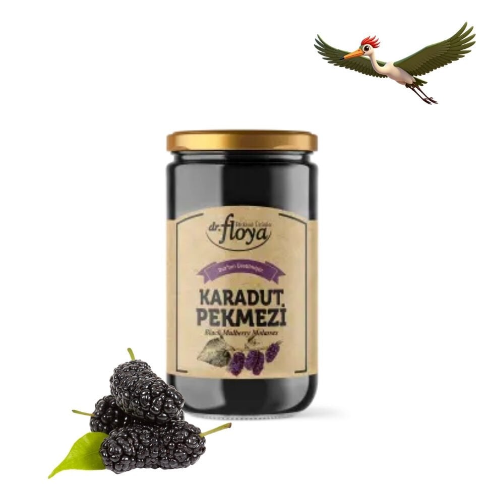 Dr. Floya Karadut Pekmezi - 800 Gr.