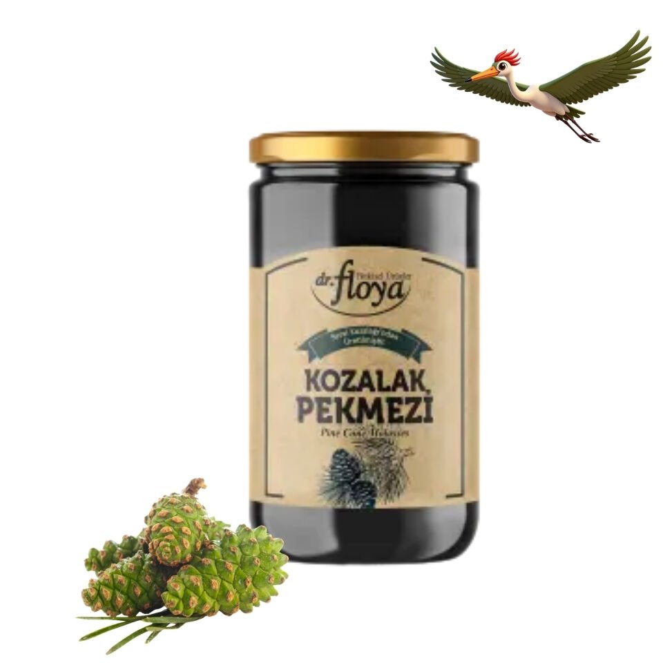 Dr. Floya Kozalak Pekmezi - 640 Gr.