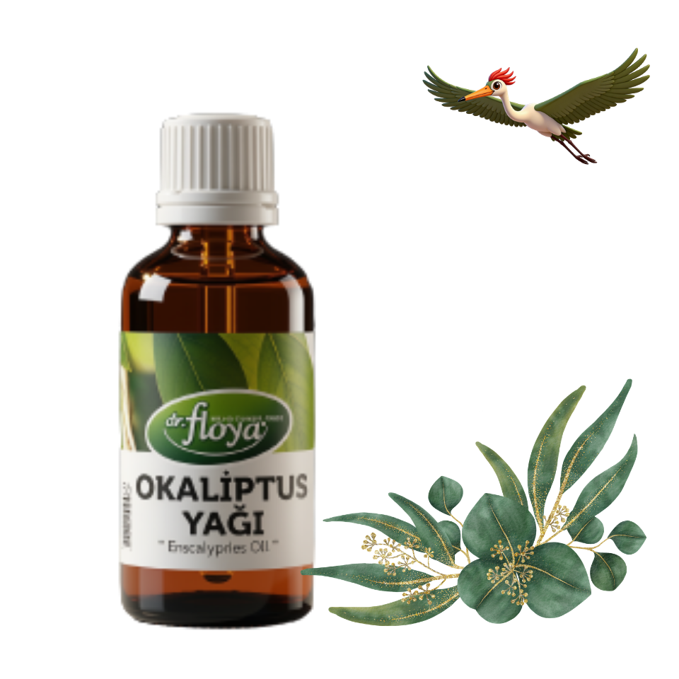 Dr. Floya Okaliptüs Yağı - 20 ml.