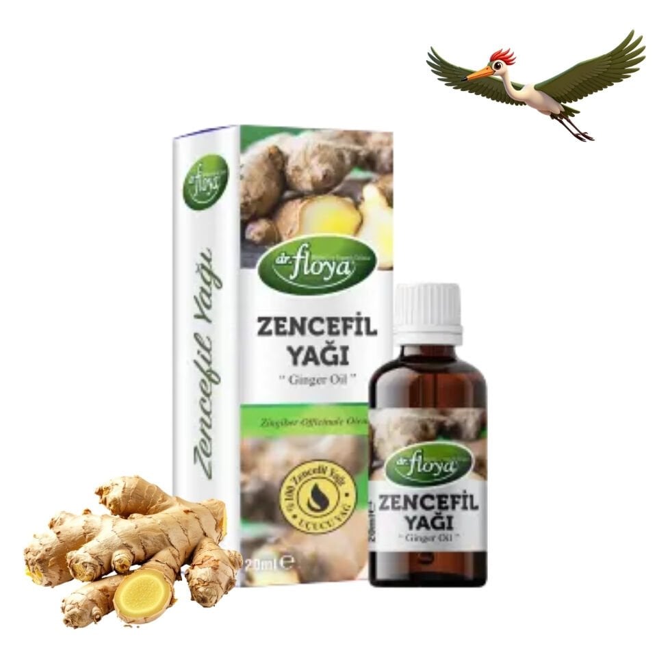 Dr. Floya Zencefil Yağı - 20 ml.