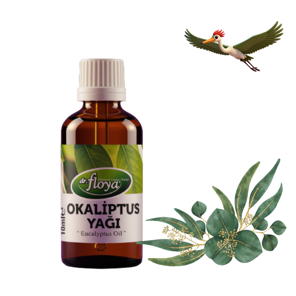 Dr. Floya Okaliptüs Yağı - 10 ml.