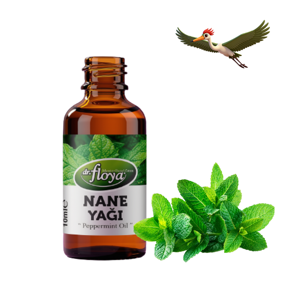 Dr. Floya Nane Yağı - 10 ml.