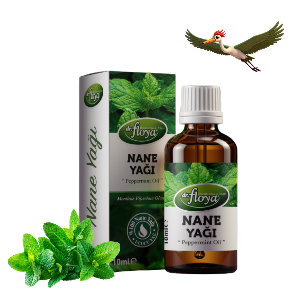 Dr. Floya Nane Yağı - 10 ml.