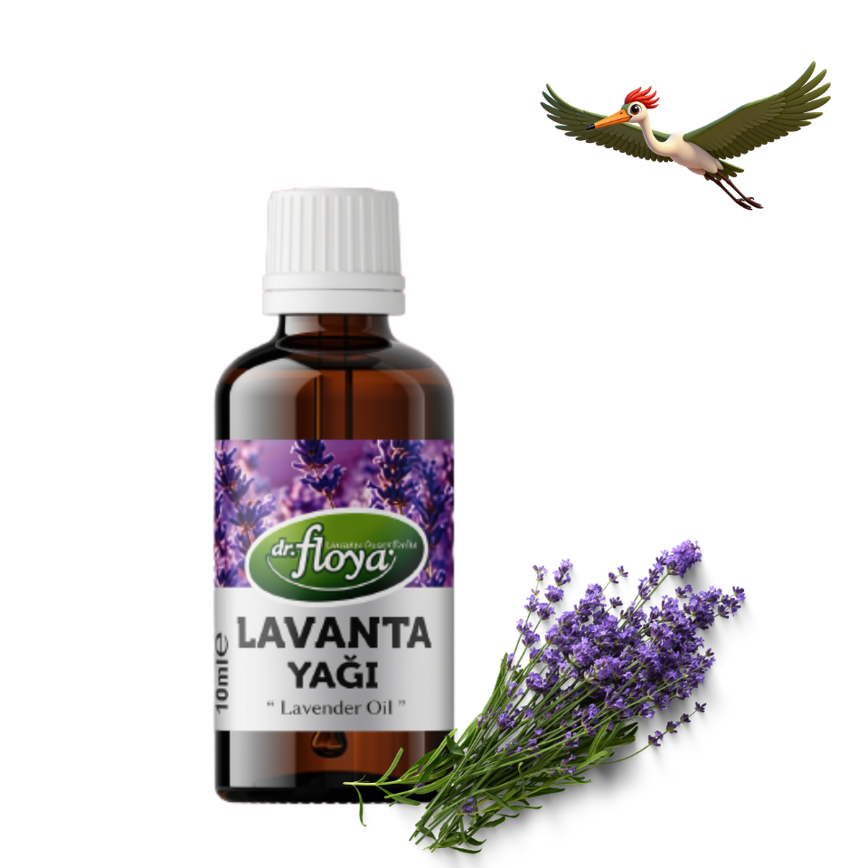 Dr. Floya Lavanta Yağı - 10 ml.