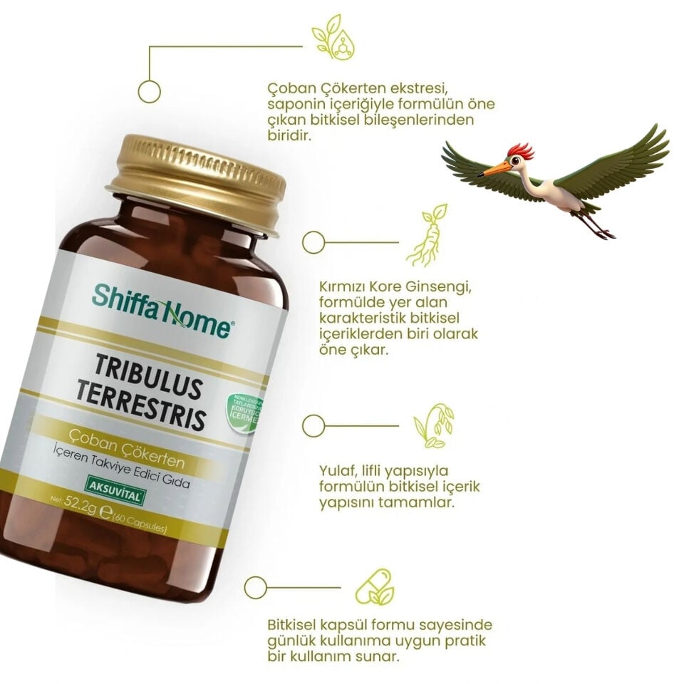 Shiffa Home Tribulus Terrestris Çoban Çökerten 60 Kapsül