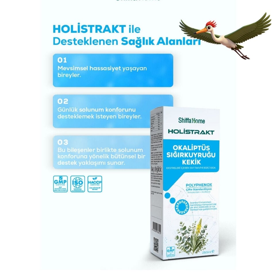 Shiffa Home Holistrakt - Okaliptus, Sığırkuyruğu ve Kekik İçeren Sıvı Ekstrat Bitkisel Takviye 250 ML