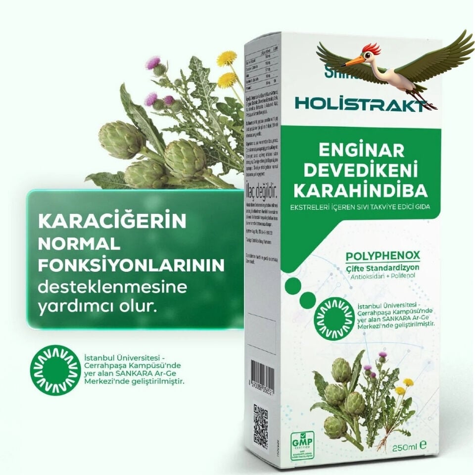 Shiffa Home Holistrakt  - Enginar, Devedikeni ve Karahindiba İçeren Sıvı Ekstrat Bitkisel Takviye 250 ML