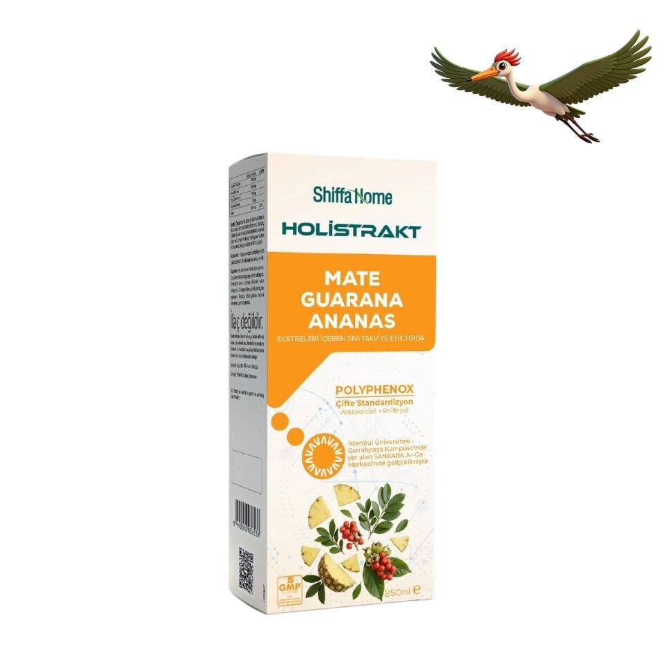 Shiffa Home HOLİSTRAKT - Guarana, Mate, Yeşil Çay, Ananas İçeren Sıvı Ekstrat Bitkisel Takviye 250 ML