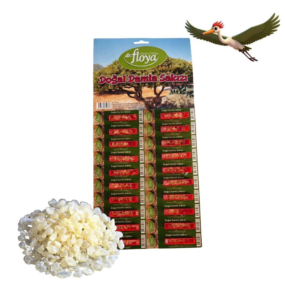 Dr. Floya Damla Sakızı 20 X 1 Gr.