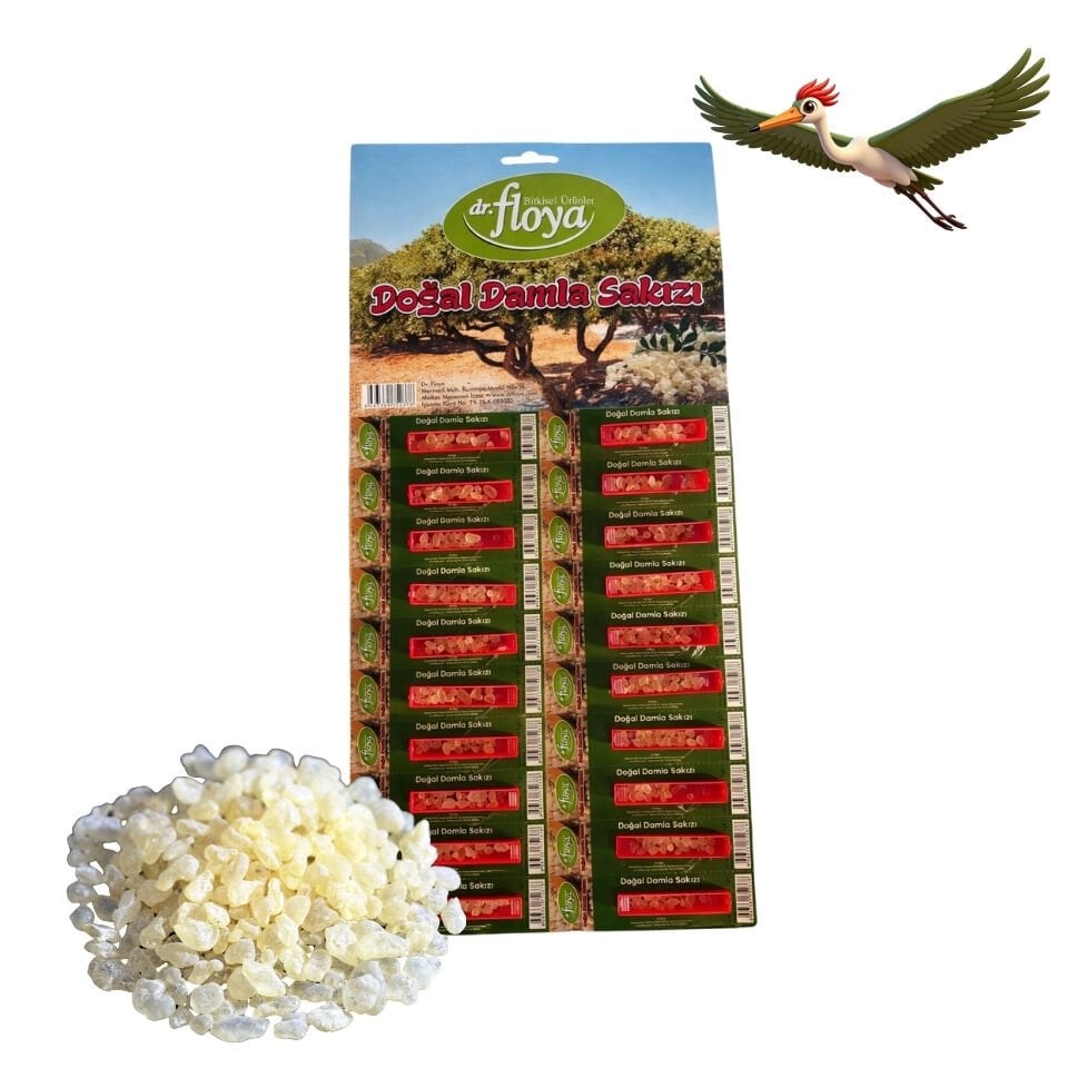 Dr. Floya Damla Sakızı 20 X 1 Gr.