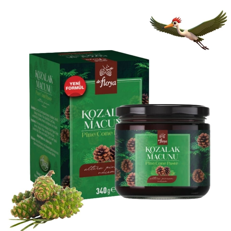 Dr. Floya Kozalak Macunu - 340 Gr.