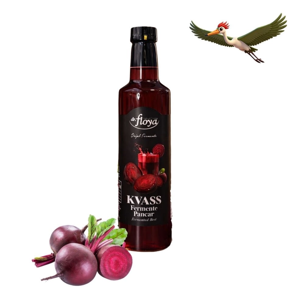Dr. Floya Kvass Fermente Pancar - 500 ml.