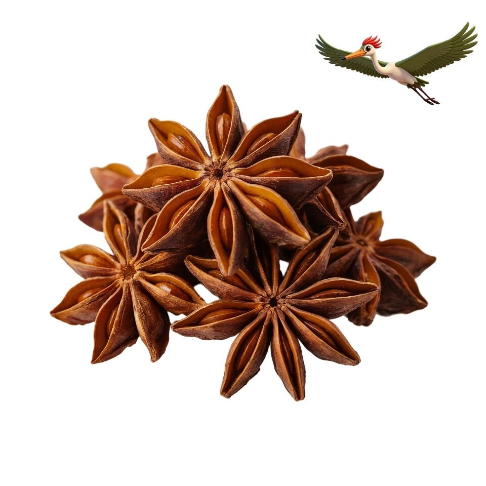 Yıldız Anason - 100 Gr.