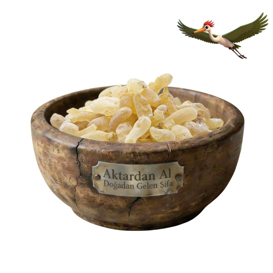 Günlük Sakızı - 100 Gr.