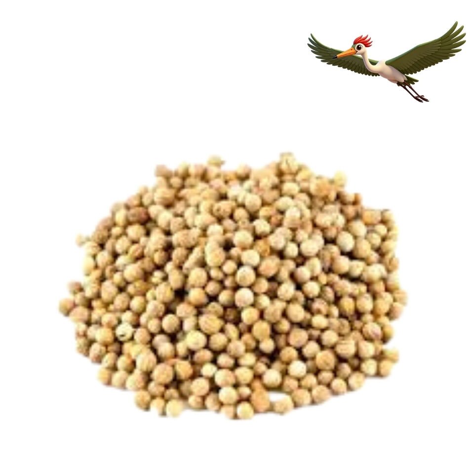 Tane Kişniş - 100 Gr.