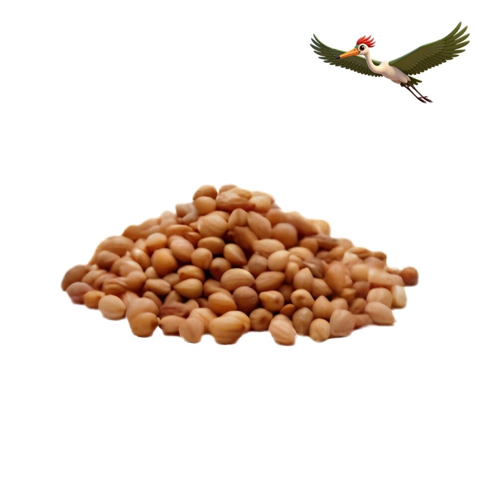 Tane Mahlep - 100 Gr.