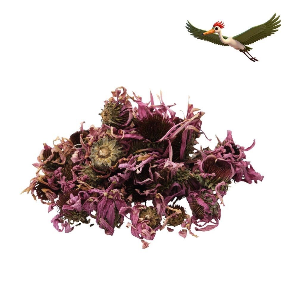 Ekinezya Çiçeği - 50 Gr.