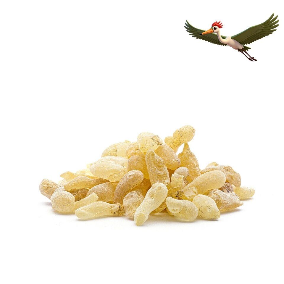 Günlük Sakızı - 50 Gr.