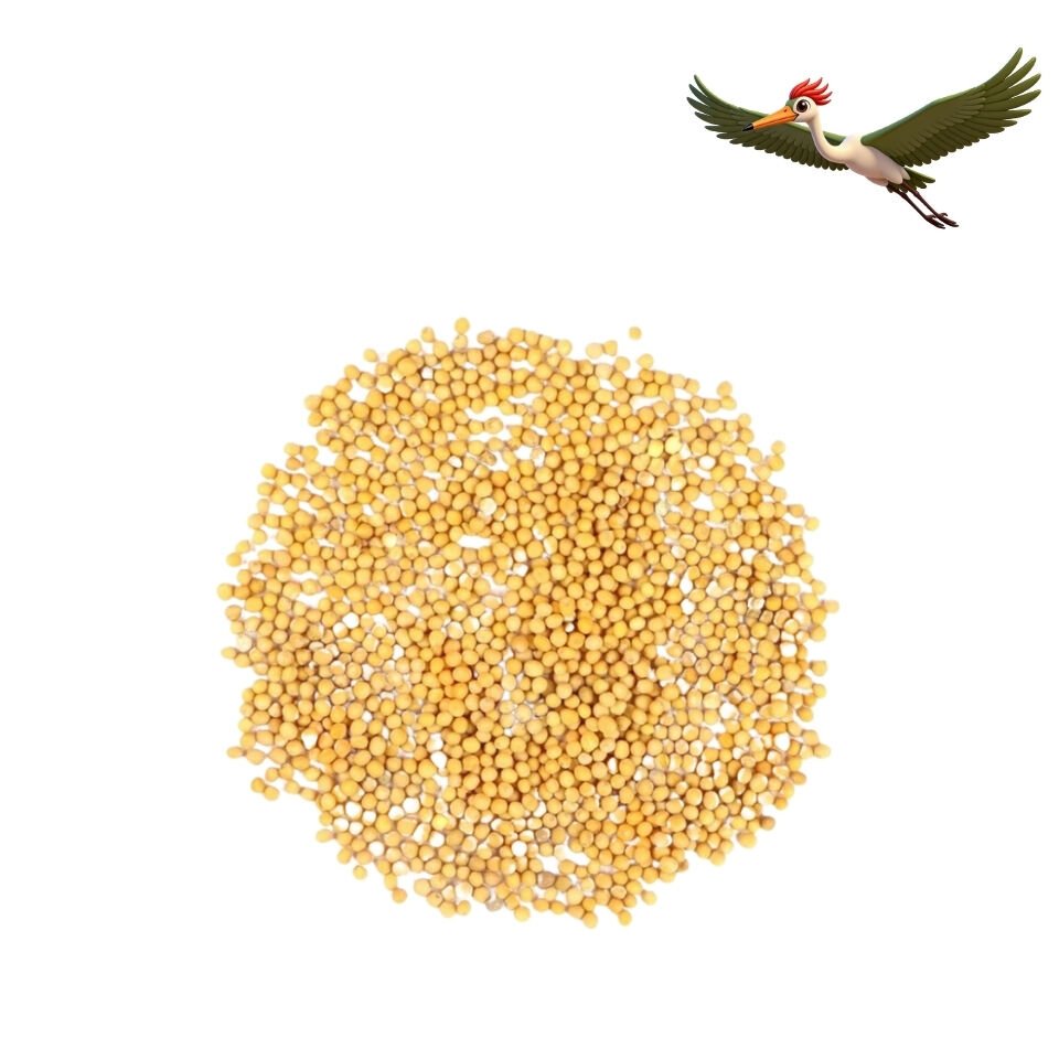 Sarı Hardal Tohumu - 50 Gr.