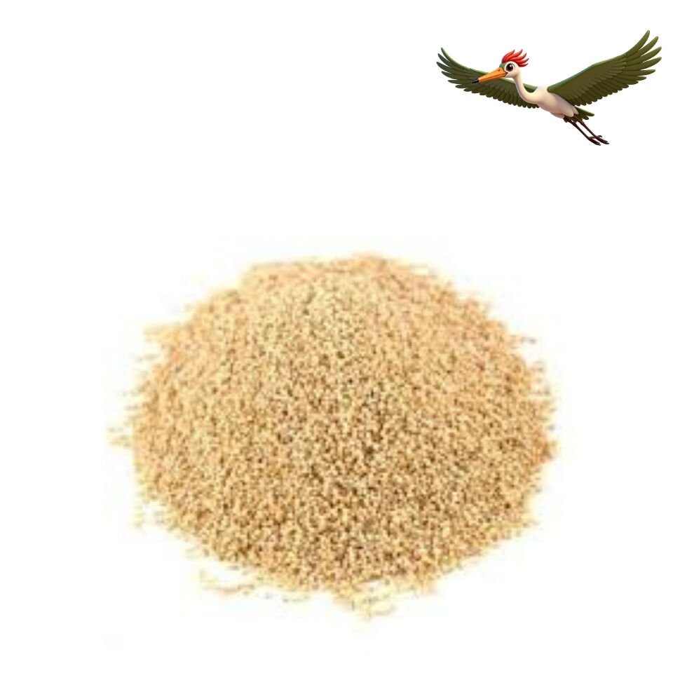 Sarı Haşhaş - 50 Gr.